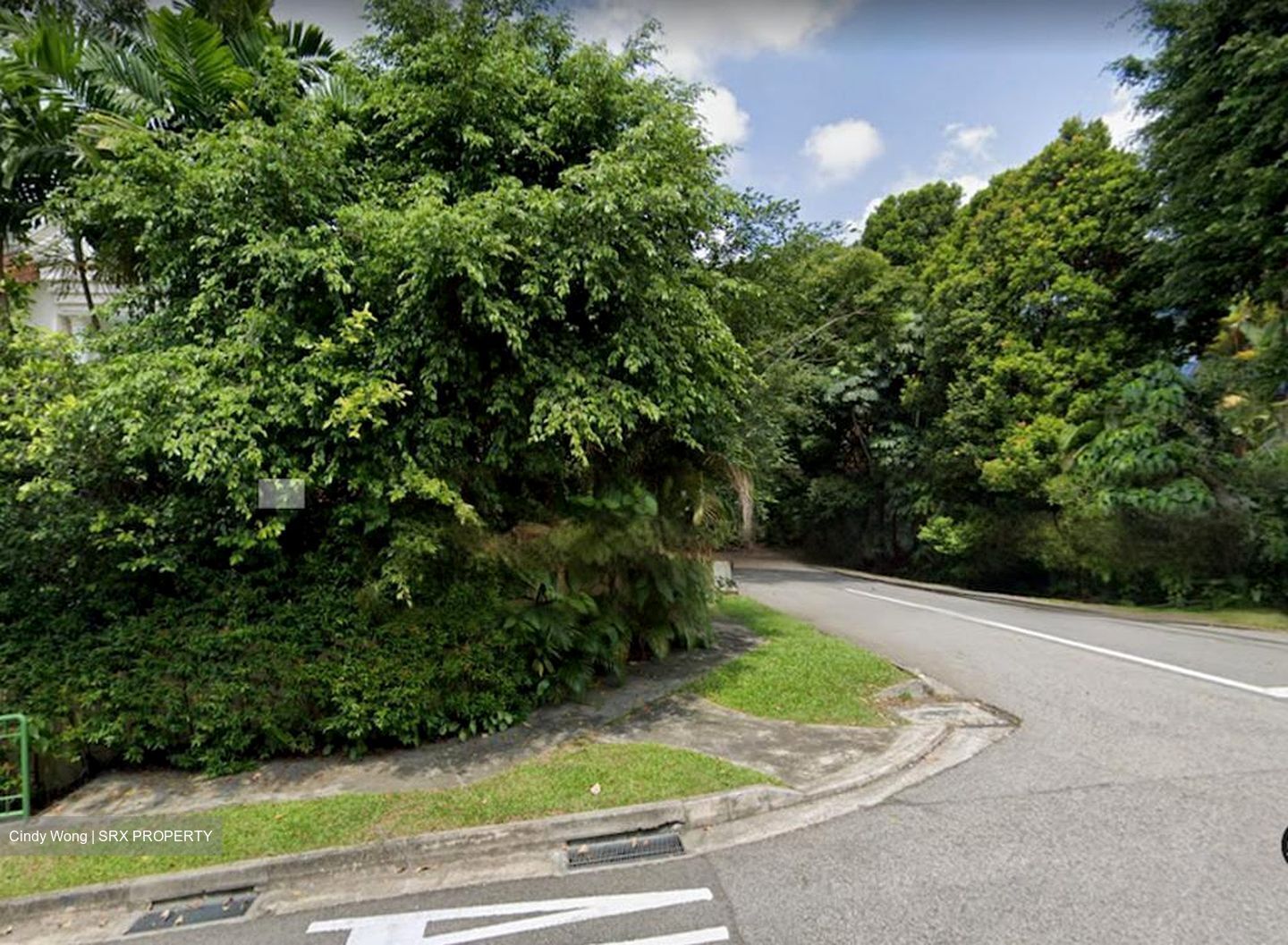 Raffles Park (D11), Detached #458902571
